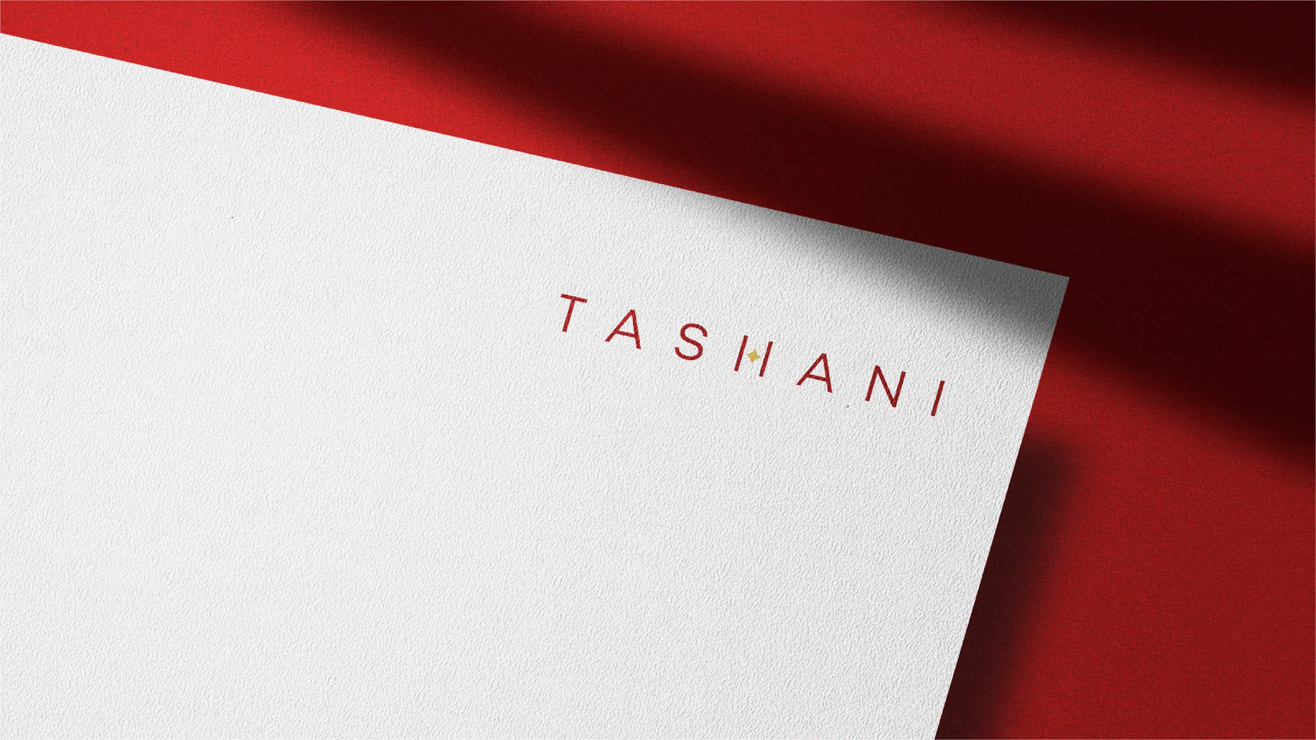 Tashani brand identity